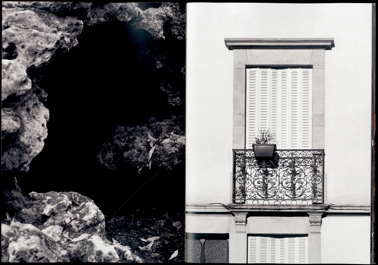 Bring the Outdoors in