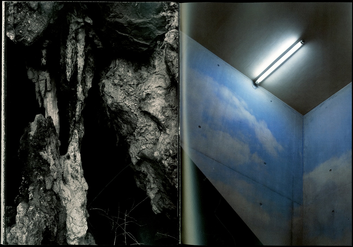 Bring the Outdoors in