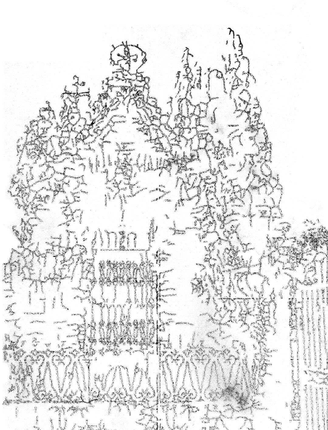 Qui reconnaît les visages ?