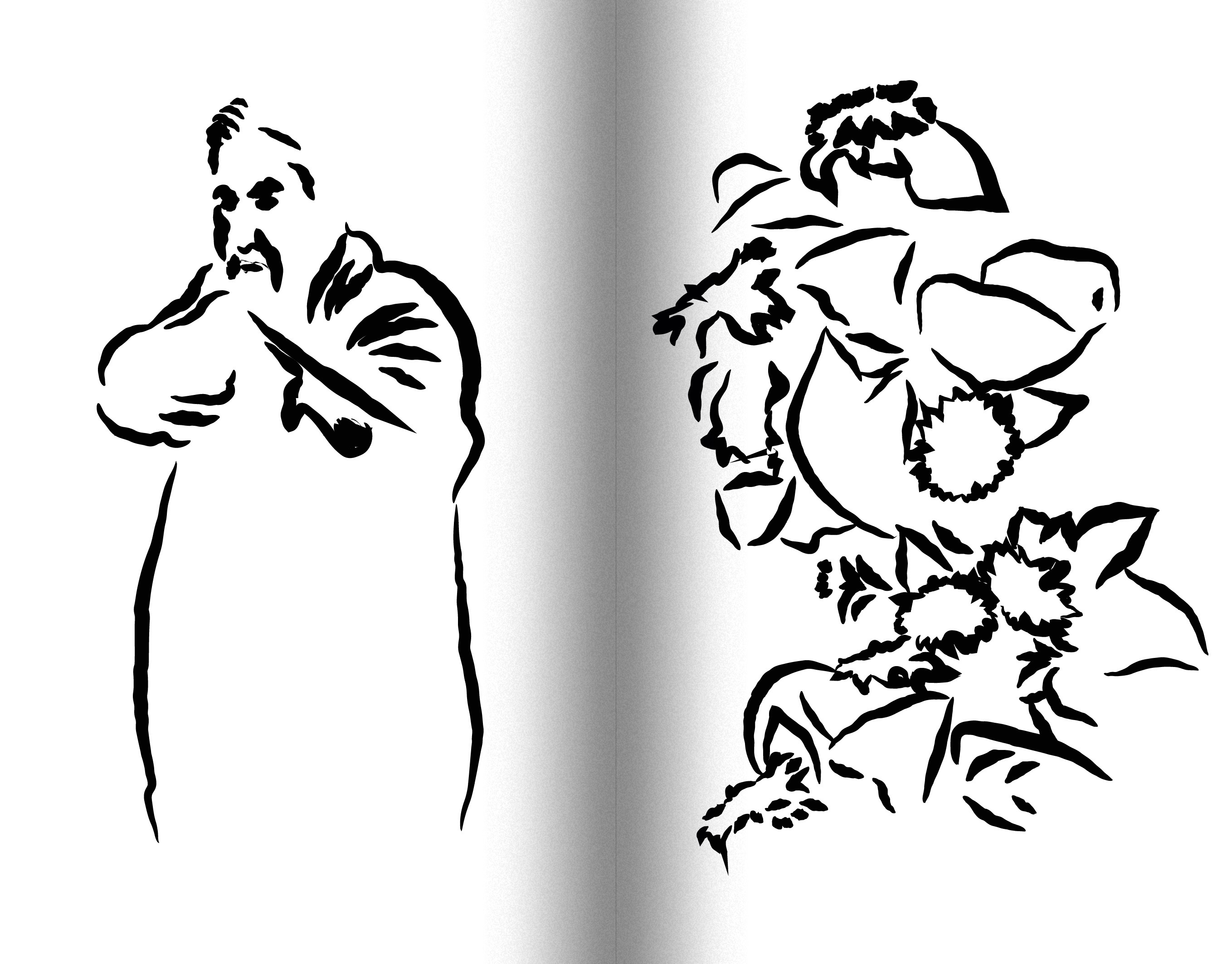 version contre version